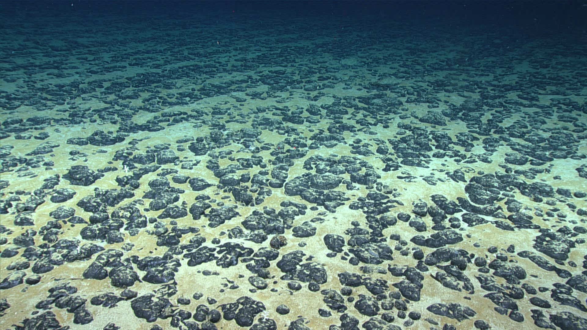 US schedules first offshore mineral lease auction near American Samoa
